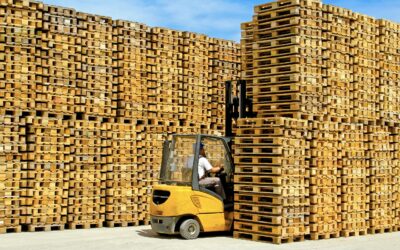 3 Steps to Efficient Pallet Liquidation with Newnan Pallet Company