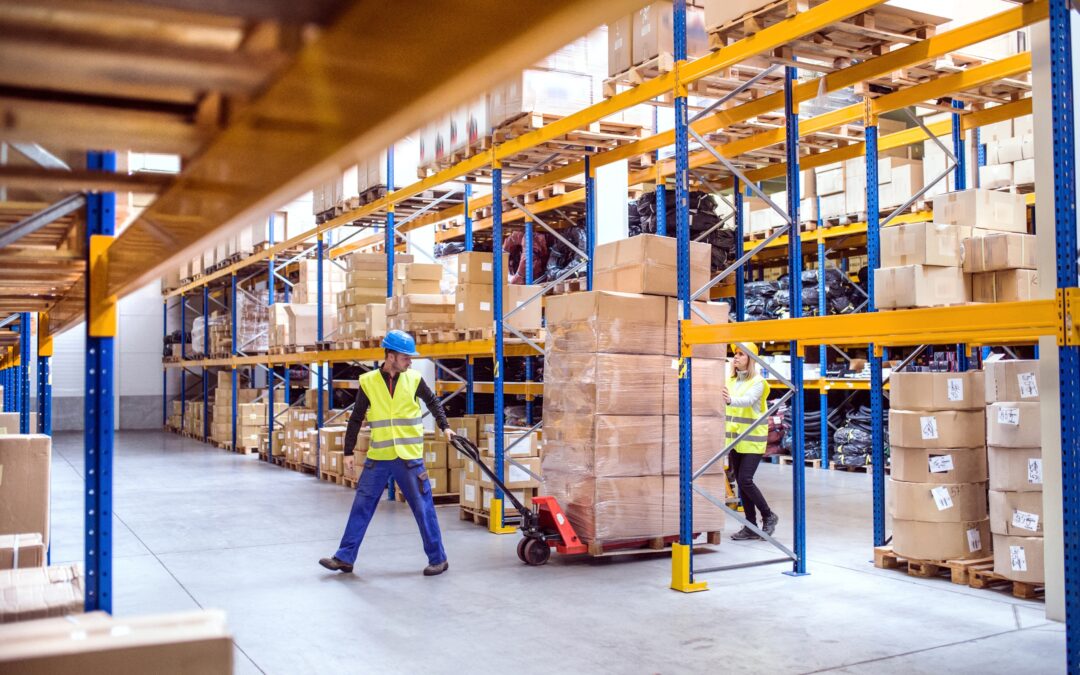 Don’t Underestimate the Humble Pallet: An Introduction to Your Unsung Supply Chain Hero
