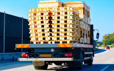6 Must-Know Pallet Safety and Health Standards for Your Business